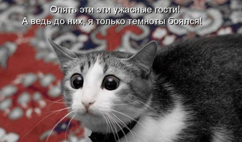 увеличение посещаемости